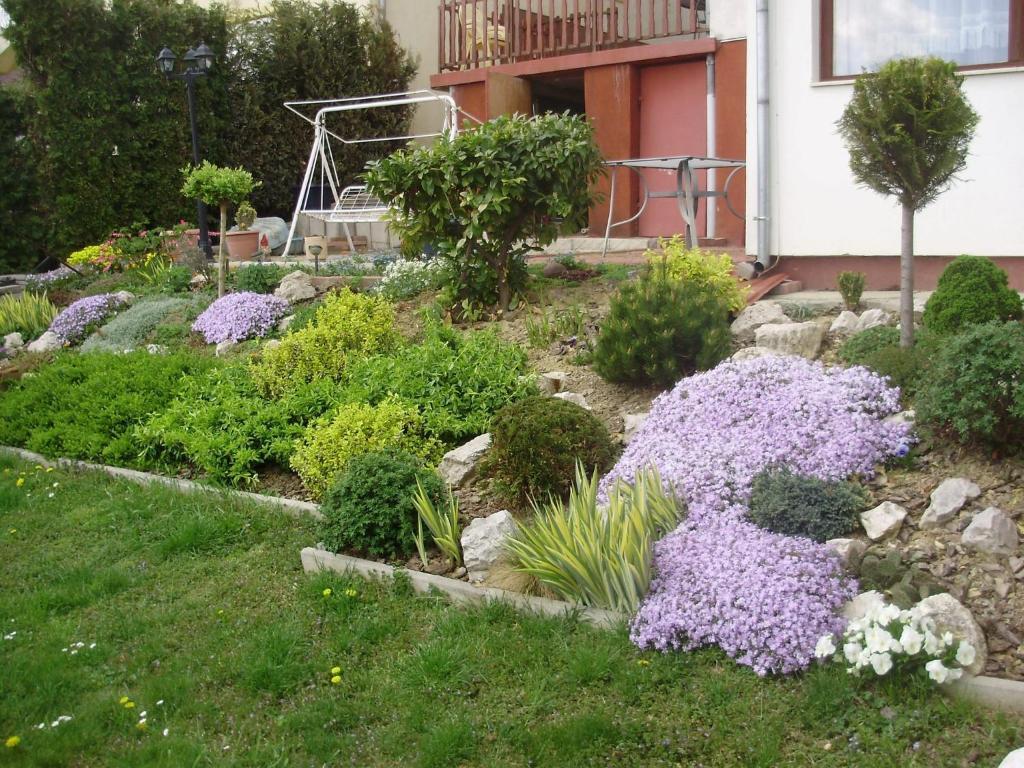 Apartman Berki Hévíz 객실 사진